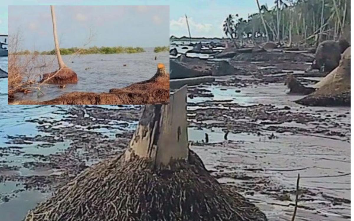 Abrasi di Teluk Pesisir Bengkalis Kian Parah, Warga Khawatir Pulau Menghilang