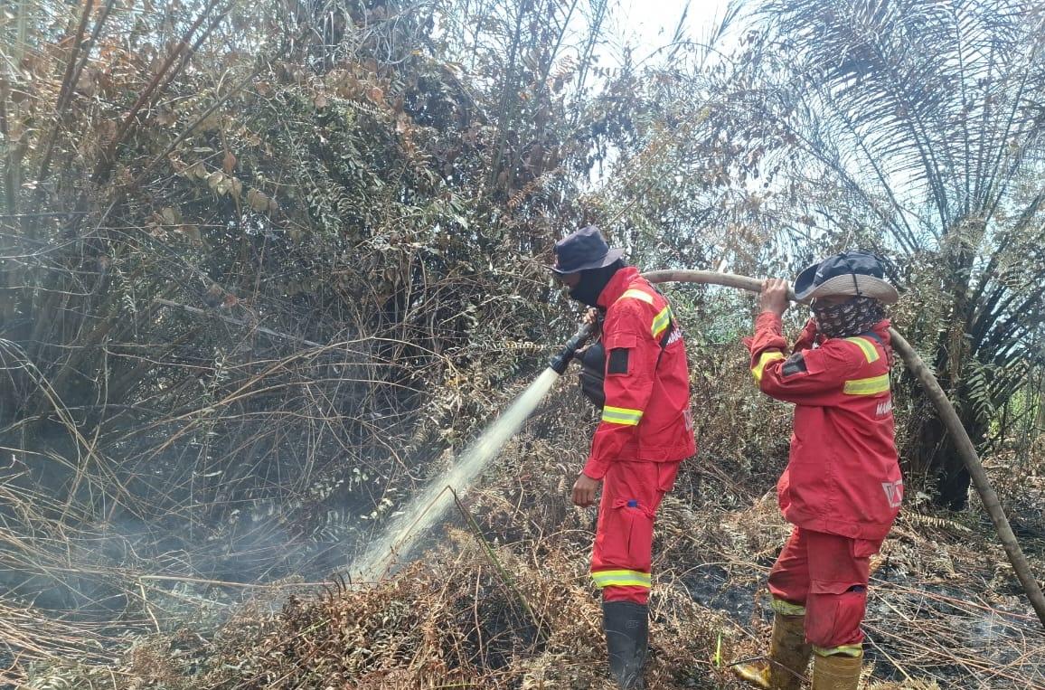Manggala Agni Masih Padamkan Karhutla di Sejumlah Wilayah Riau