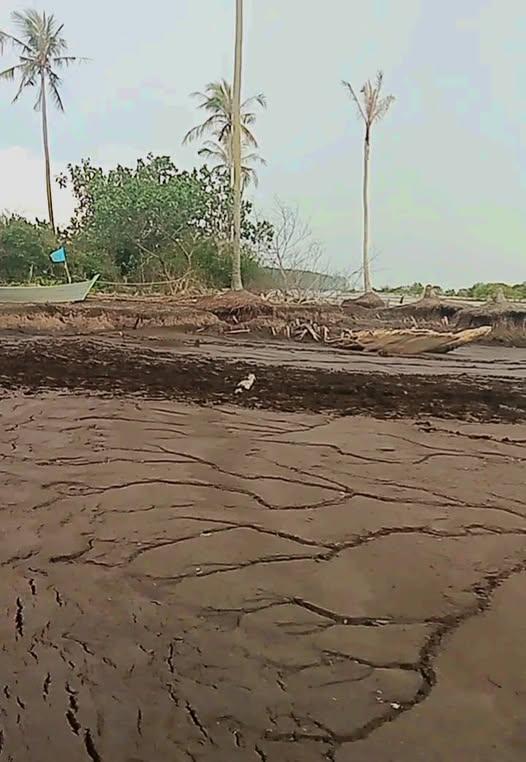 Abrasi di Pulau Bengkalis Kian Memprihatinkan, Pantai yang Dulu Dipenuhi Pohon Kelapa Kini Hilang