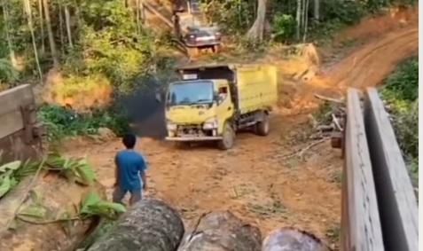 Ribuan Kayu Ilegal Asal Labura Terbongkar, Publik Soroti Dugaan Pembiaran Aparat dan Lemahnya Pengawasan