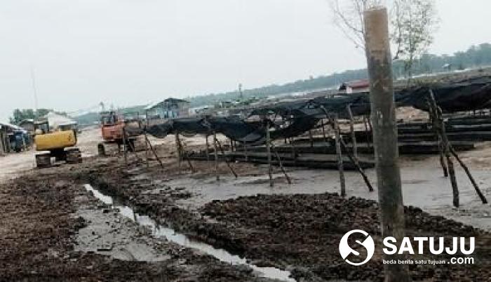 Ketika Limbah dari Kolam Udang Dibuang ke Sungai & Laut Bisa Merusak Ekosistem Mangrove serta Menimbulkan Bekas