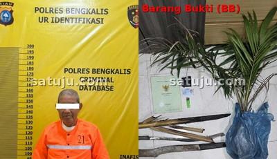 Lahan Terbakar di Temeran, Polisi Tetapkan Pria 79 Tahun Tersangka