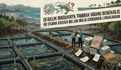 Di Balik Maraknya Tambak Udang Bengkalis: 90 Usaha Diduga Belum Miliki Dokumen Lingkungan