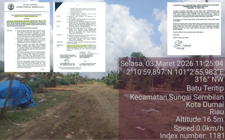 PT Diamond Raya Timber Bantah Izin Konsesi Berakhir, Aktivis Ingatkan Pembangunan Jalan di Kawasan Hutan Harus Ikuti Aturan