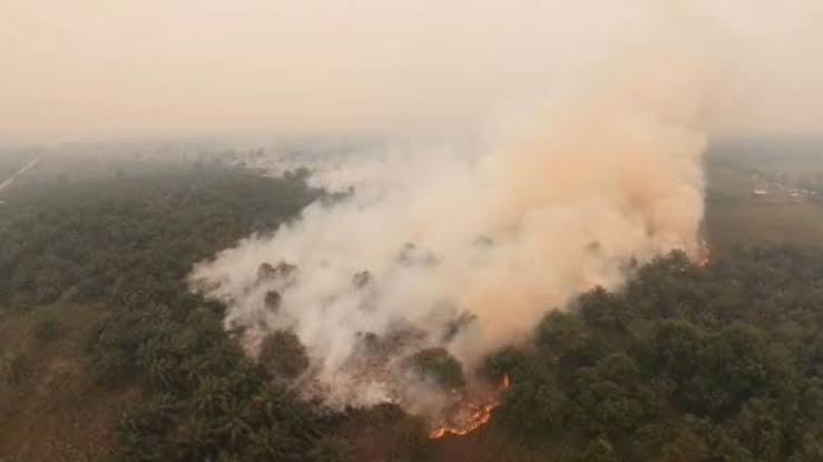 Karhutla Kobar Kian Mengkhawatirkan, Bupati Nurhidayah Desak Pusat Turunkan Bantuan dan Water Bombing