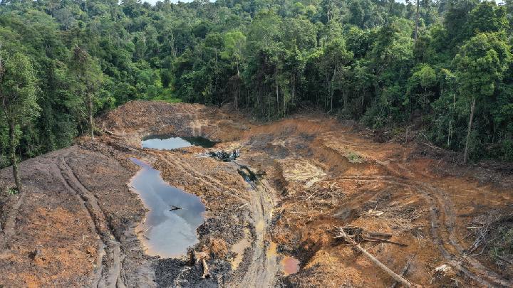 Pemerintah Siap Tindak Tegas Penambang Ilegal di Hutan, Denda Maksimal Rp6,5 Miliar