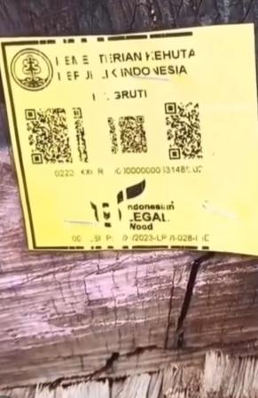 Viral Video Tumpukan Kayu Berbarcode di Nias Selatan, Warga Soroti Dugaan Pembalakan Hutan