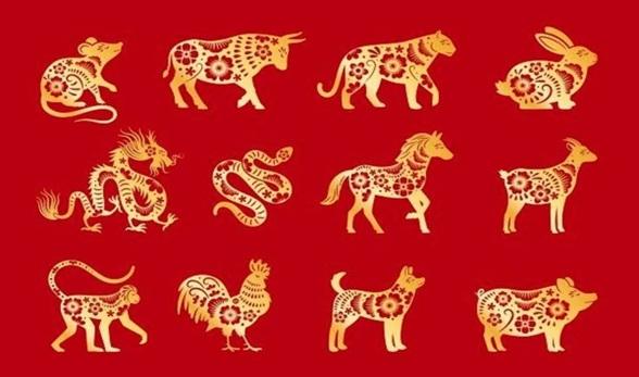 12 Shio, 12 Karakter: Panduan Memilih Karier Berdasarkan Shio