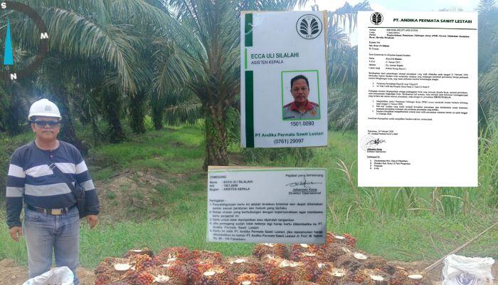 Dugaan Distorsi Fakta Warnai PHK Askep, Kuasa Hukum Soroti Proses Internal PT APSL