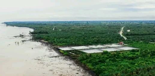 Penyidikan Tambak Udang Sejak 2020-2024 di Bengkalis, PATAR: Kerusakan Ekologi Bagaikan Kejahatan Terselubung