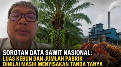 Sorotan Data Sawit Nasional: Luas Kebun dan Jumlah Pabrik Dinilai Masih Menyisakan Tanda Tanya