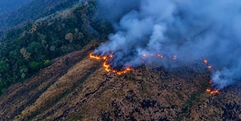 Karhutla Melanda Lima Gunung di Pulau Jawa, Ribuan Hektare Lahan Terbakar dan Enam Orang Tewas