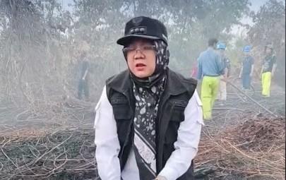 Tinjau Karhutla di Koto Gasib, Bupati Siak Geram Temukan Bekas Tebangan Pohon Besar