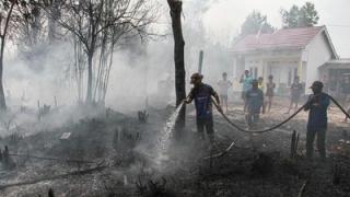 Darurat Karhutla Kalimantan, Sumber Asap Diperkirakan Capai 592 Titik hingga Melintasi Batas Negara