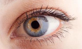 Mata Sehat, Aktivitas Lancar: Ini Cara Merawat Penglihatan