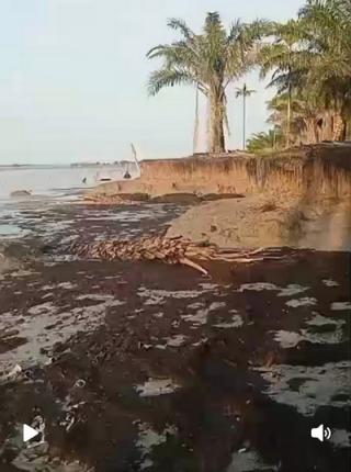 Hari Kemerdekaan ke-81, Daratan Bengkalis Justru Terancam Hilang Digilas Laut