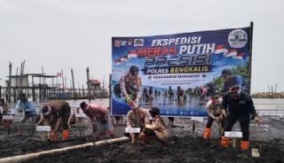 600 Mangrove Ditanam, Polres Bengkalis Bawa Misi Hijau ke Pesisir