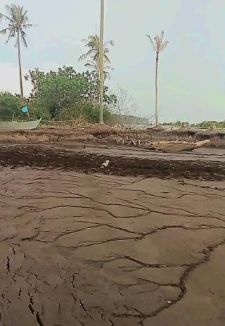 Abrasi di Pulau Bengkalis Kian Memprihatinkan, Pantai yang Dulu Dipenuhi Pohon Kelapa Kini Hilang