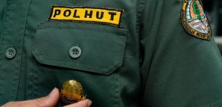 Prabowo Targetkan 70 Ribu Polisi Hutan, Naik dari 4.500 Personel