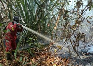Karhutla Riau Belum Padam, Manggala Agni Fokus Tangani Bengkalis hingga Inhu
