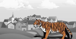 BBKSDA Riau Pastikan Informasi Kemunculan Harimau di Pasir Putih Kampar adalah Hoaks