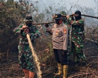 Pemadaman Karhutla Pulau Rupat Masuk Hari Ketiga, Tim Gabungan Terus Lakukan Pendinginan