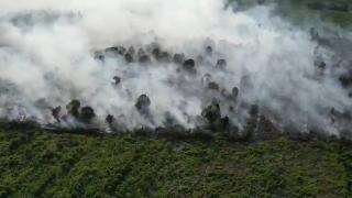 Terhitung 13 Februari Hingga 30 November, Riau Tetapkan Siaga Darurat Karhutla