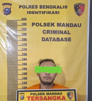 DPO Kasus Sabu di Bathin Solapan Ditangkap Polsek Mandau