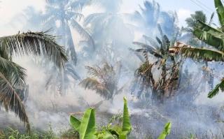 Inhu Catat 84 Hotspot, Tertinggi di Riau Saat Penanganan Karhutla Masih Berlangsung