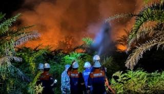 Kabut Asap di Siak Menebal, Bupati Afni Perintahkan PKS Setop Bakar Jangkos