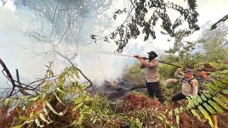 Karhutla Kerumutan Meluas, 20 Hektare Lahan Terbakar dan Asap Ganggu Kualitas Udara Pelalawan