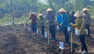 Perkuat Ketahanan Pangan Nasional, Polres Bengkalis Serah Bibit Jagung Pipil kepada Kelompok Tani Berkah Lestari