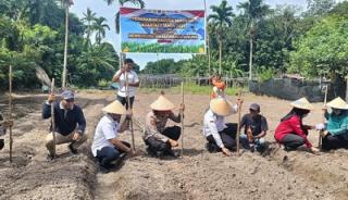 Penanaman Jagung Pipil Bengkalis Digencarkan, Polres Turun Langsung ke Lahan Gambut