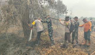Karhutla Kepung Bengkalis, 11 Hektare Lahan Terbakar, Api Berhasil Dikendalikan