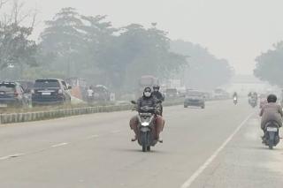PM2.5 Pekanbaru Capai 176,8 µg/m³, Udara Masih Sangat Tidak Sehat