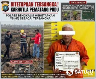 Karhutla Pematang Pudu Mengarah ke Kebun Ilegal, Polisi Tersangkakan Pemilik Lahan