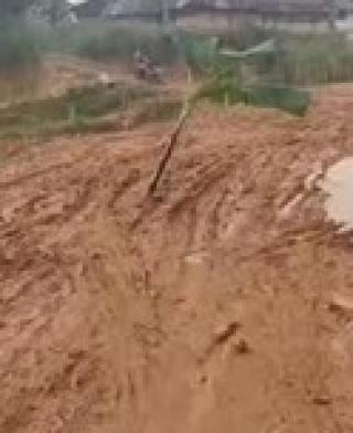 Jalan Rusak di Tuah Negeri Dikeluhkan Warga, Harapan Perbaikan Dipertanyakan