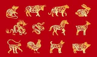12 Shio, 12 Karakter: Panduan Memilih Karier Berdasarkan Shio