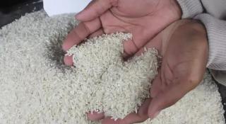 Rata-Rata Harga Beras Naik, Capai Rp15 Ribu/Kilogram