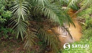 LPLHI-KLHI Riau Temukan Dugaan Pelanggaran Lingkungan di Kebun PT SLS 2 Pelalawan