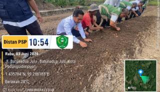 Pemkot Padangsidimpuan Perluas Penanaman Bawang Merah untuk Jaga Ketahanan Pangan