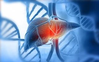 Fatty Liver Disebut Silent Killer, Dokter Ungkap Gejala Baru Muncul Saat Kondisi Sudah Serius