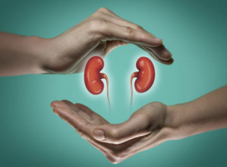 Ginjal Sehat, Tubuh Kuat: Ini Cara Merawatnya dengan Benar