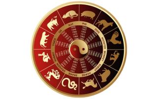 Ramalan 12 Shio Hari Ini: Energi Kemerdekaan dan Keberanian Mendominasi