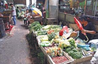 Pasokan Aman, Harga Telur dan Minyak Kita di Pasar Sail Cenderung Turun