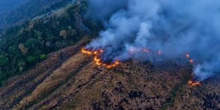 Karhutla Melanda Lima Gunung di Pulau Jawa, Ribuan Hektare Lahan Terbakar dan Enam Orang Tewas