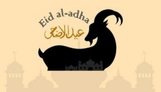 Hikmah dan Manfaat Berkurban di Hari Raya Idul Adha