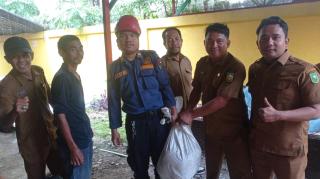 DPKP Pekanbaru Evakuasi Ular Piton dari Area Kantor Dinas Kebudayaan Riau