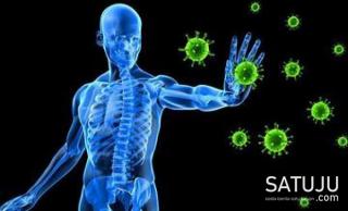 8 Prov Dilaporkan Hari Ini Nol Kasus Baru Corona, Salah Satunya Riau