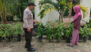 Monitoring Ketahanan Pangan, Polsek Langgam Pantau Kebun Cabai Warga Sotol